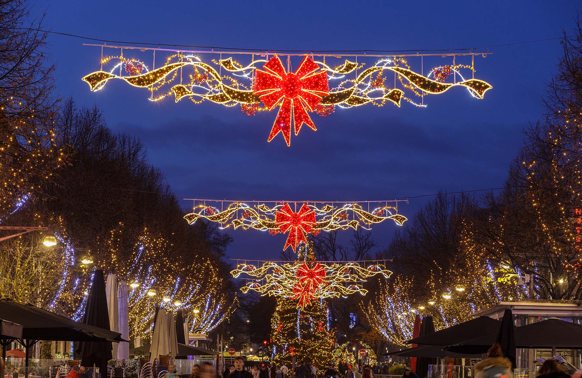 582_REIMS_2024_MOIRENC